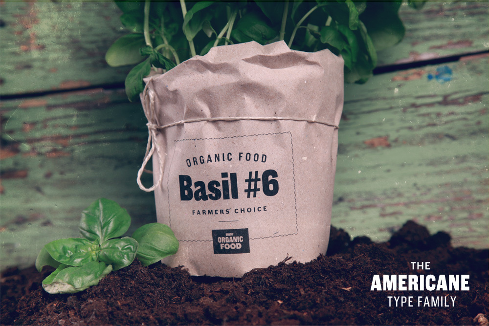 Americane Basil